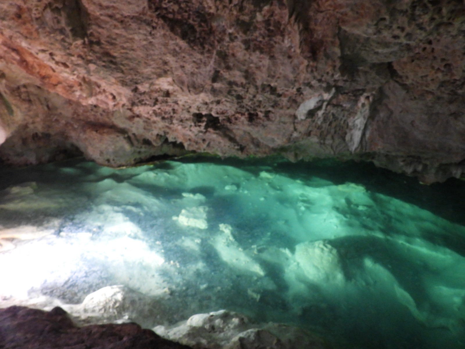 Jungle Cenote, Tulum MX